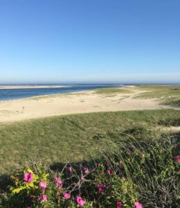 Lighthouse Beach